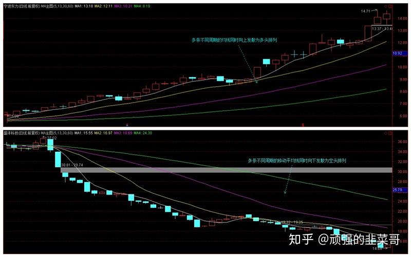 事关暑期校外培训！市教育局倡议：依法依规办学，共筑教育良好生态