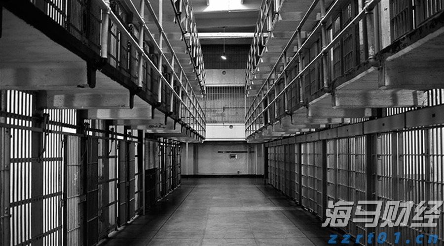 “我们自己设计组装了一套新设备”